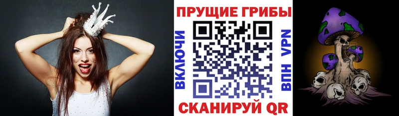 Псилоцибиновые грибы прущие грибы  Вышний Волочёк 